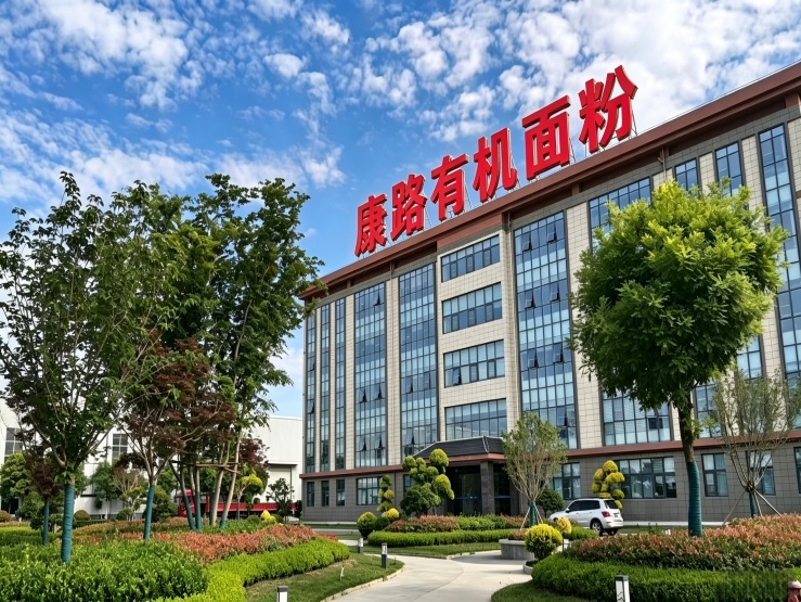 Company Vision Image